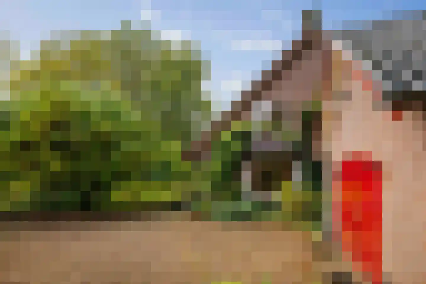 Wethouder A.G. Dekkerlaan 38 Olst thumbnail 56