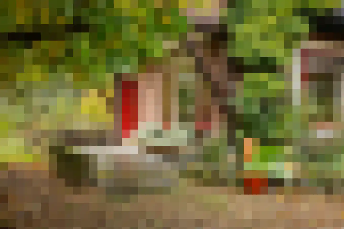 Wethouder A.G. Dekkerlaan 38 Olst thumbnail 57