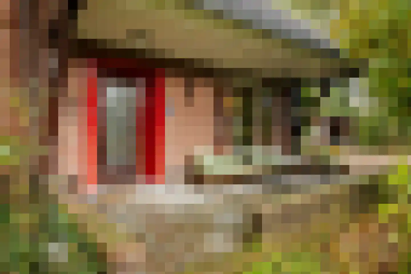 Wethouder A.G. Dekkerlaan 38 Olst thumbnail 59