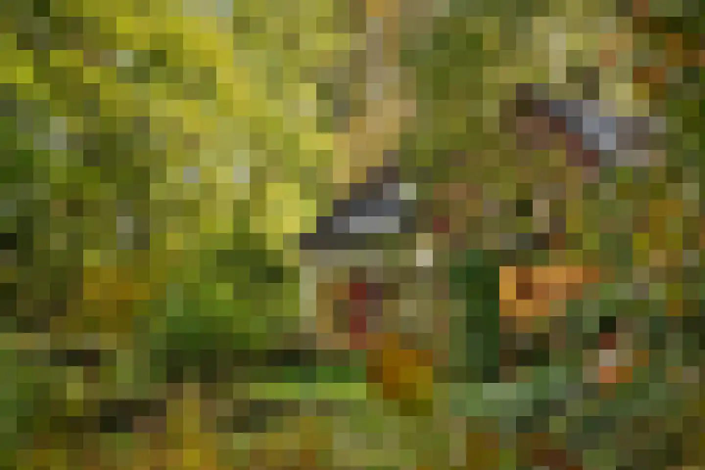 Wethouder A.G. Dekkerlaan 38 Olst thumbnail 6