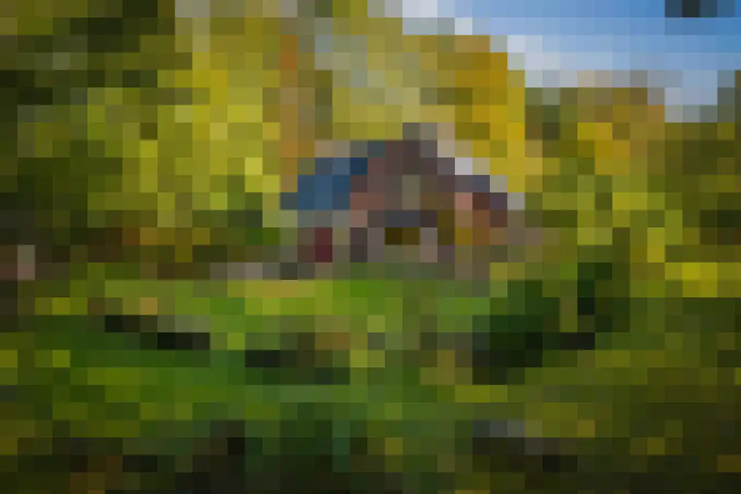 Wethouder A.G. Dekkerlaan 38 Olst thumbnail 68