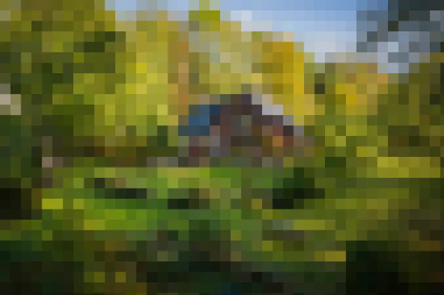 Wethouder A.G. Dekkerlaan 38 Olst thumbnail 69