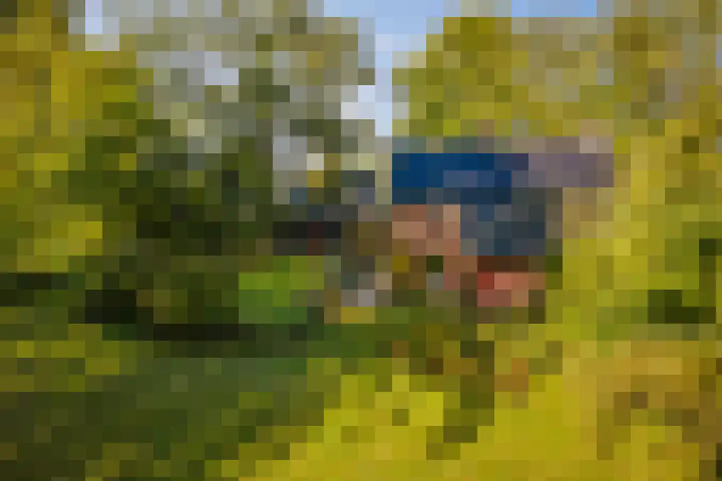 Wethouder A.G. Dekkerlaan 38 Olst thumbnail 73