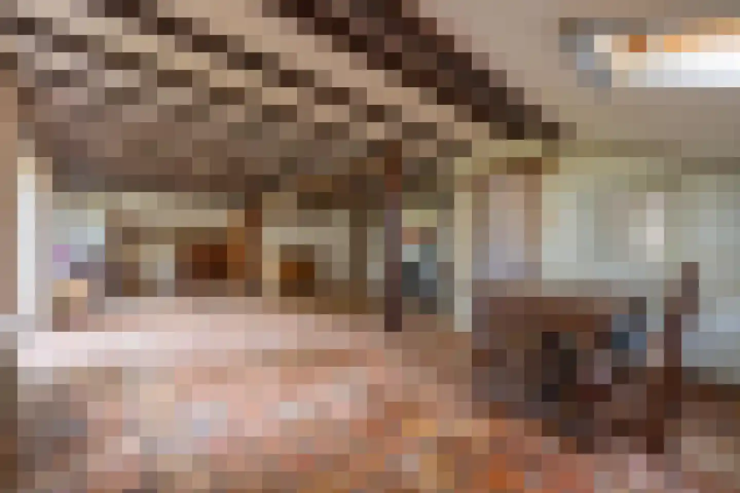 Wethouder Bankenstraat 16 Batenburg thumbnail 10