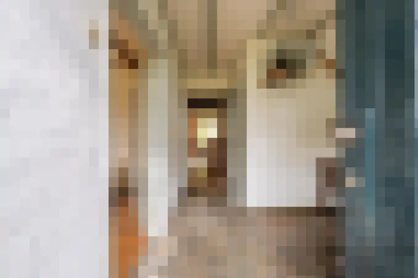Wethouder Bankenstraat 16 Batenburg thumbnail 28
