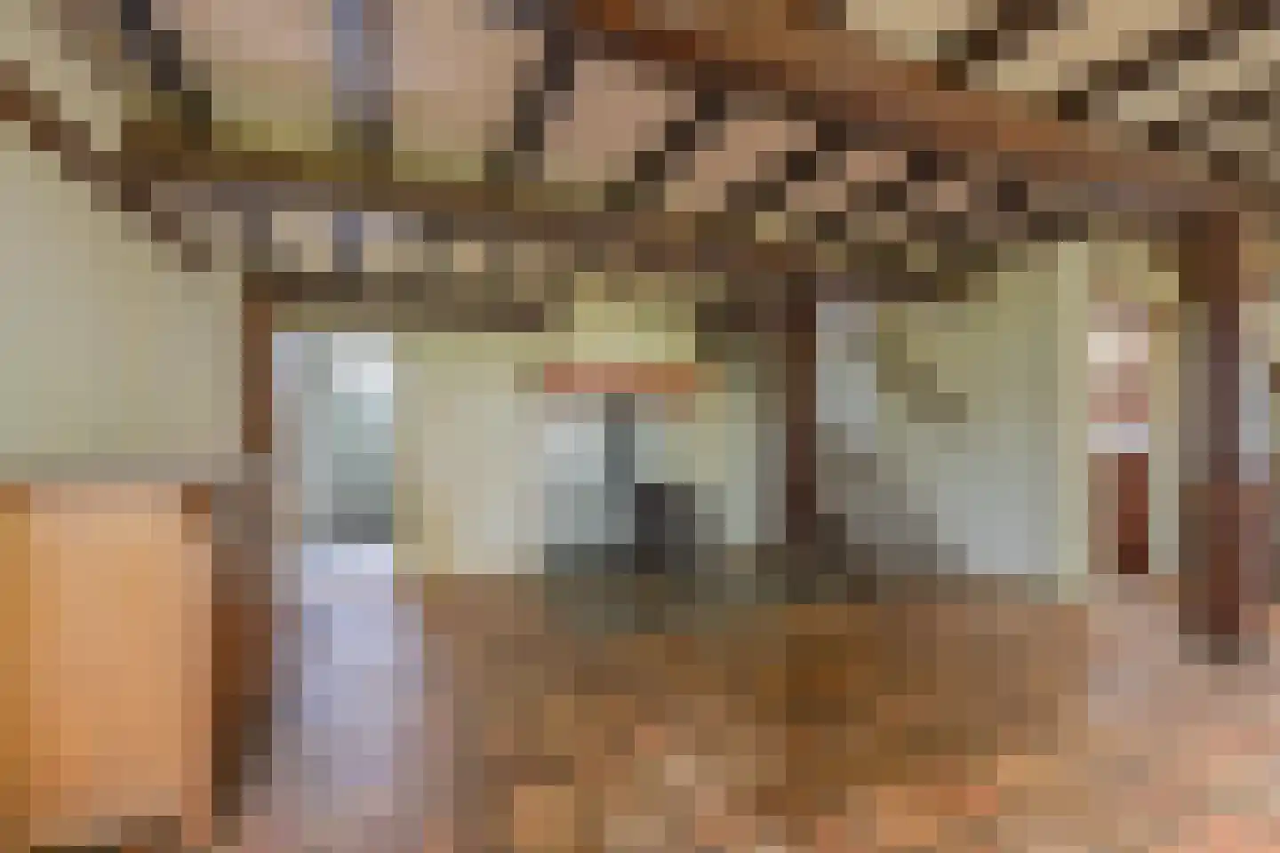 Wethouder Bankenstraat 16 Batenburg thumbnail 29