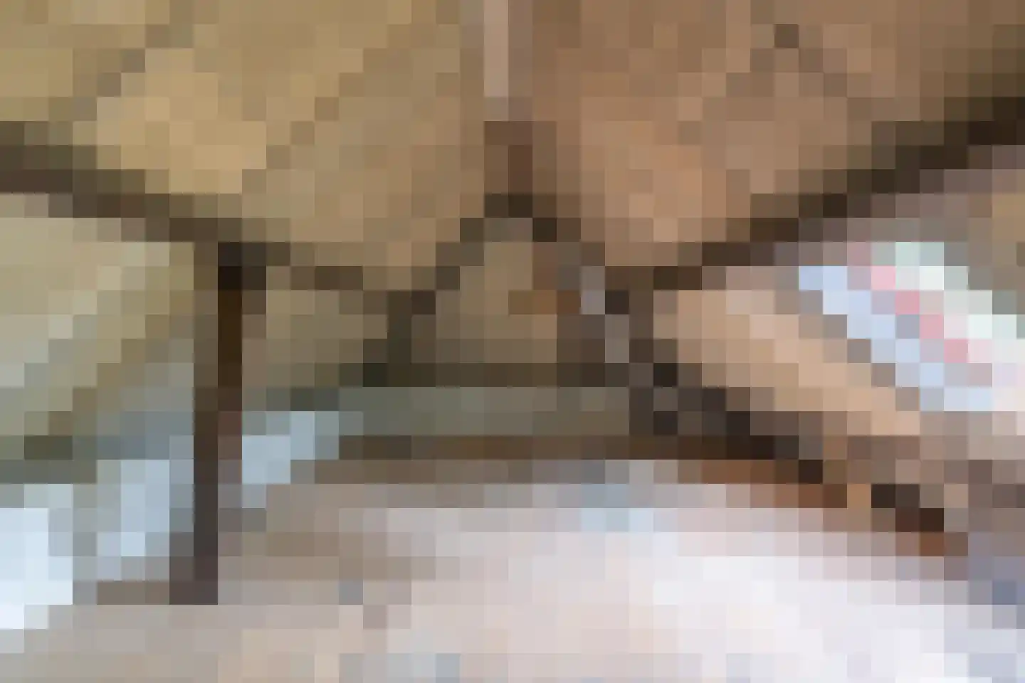 Wethouder Bankenstraat 16 Batenburg thumbnail 37