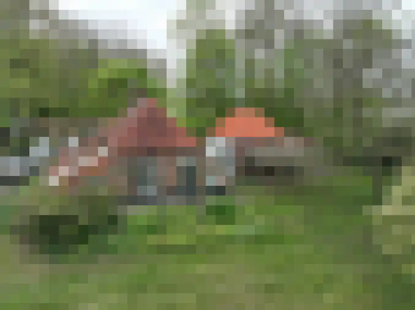 Wethouder Bankenstraat 16 Batenburg thumbnail 45