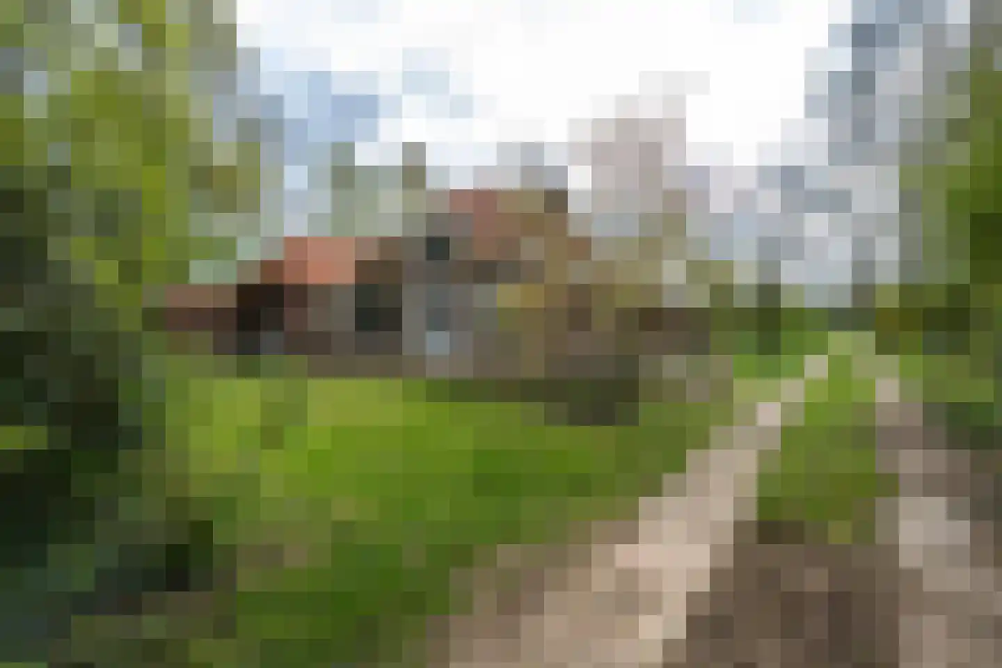 Wethouder Bankenstraat 16 Batenburg thumbnail 46