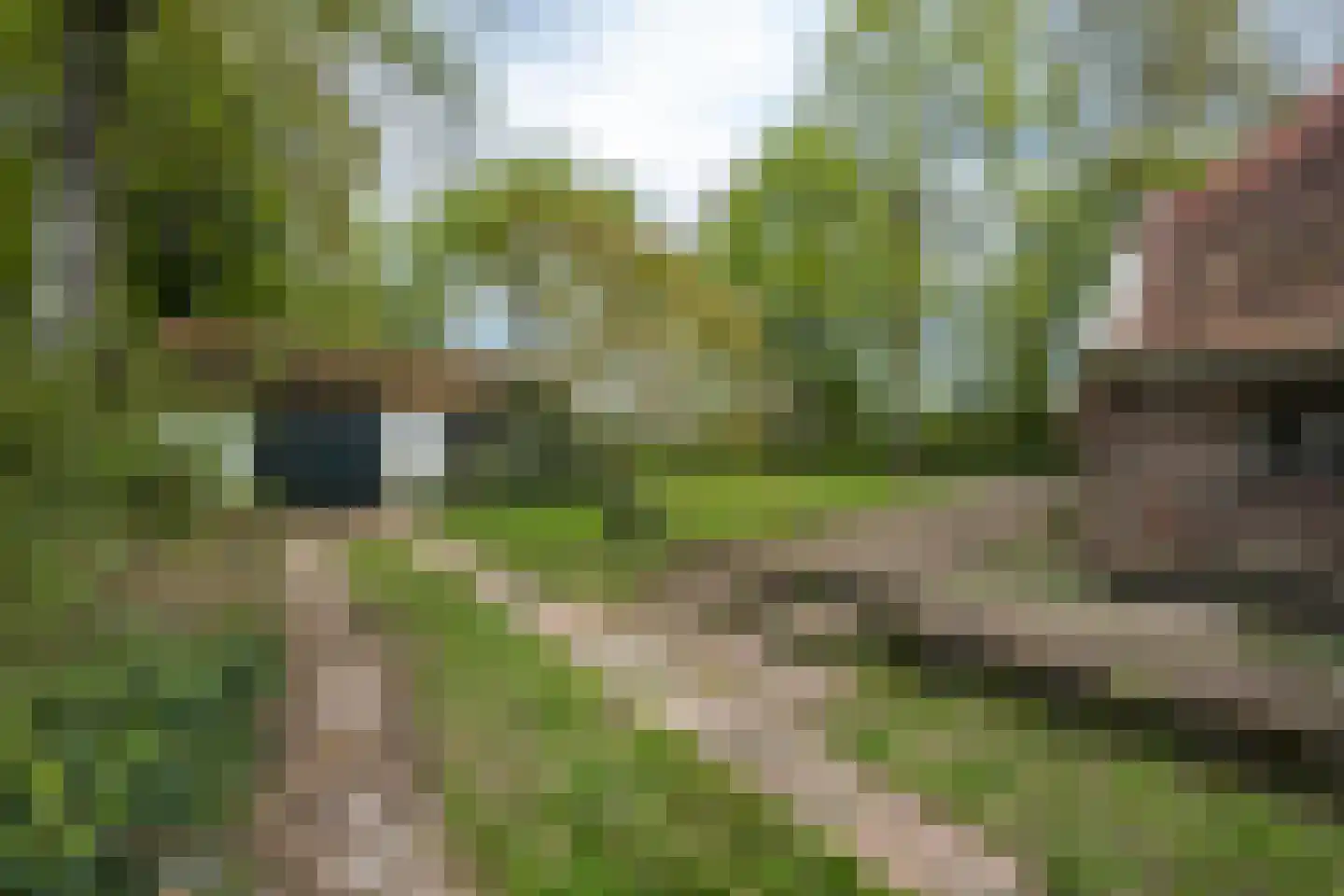 Wethouder Bankenstraat 16 Batenburg thumbnail 47