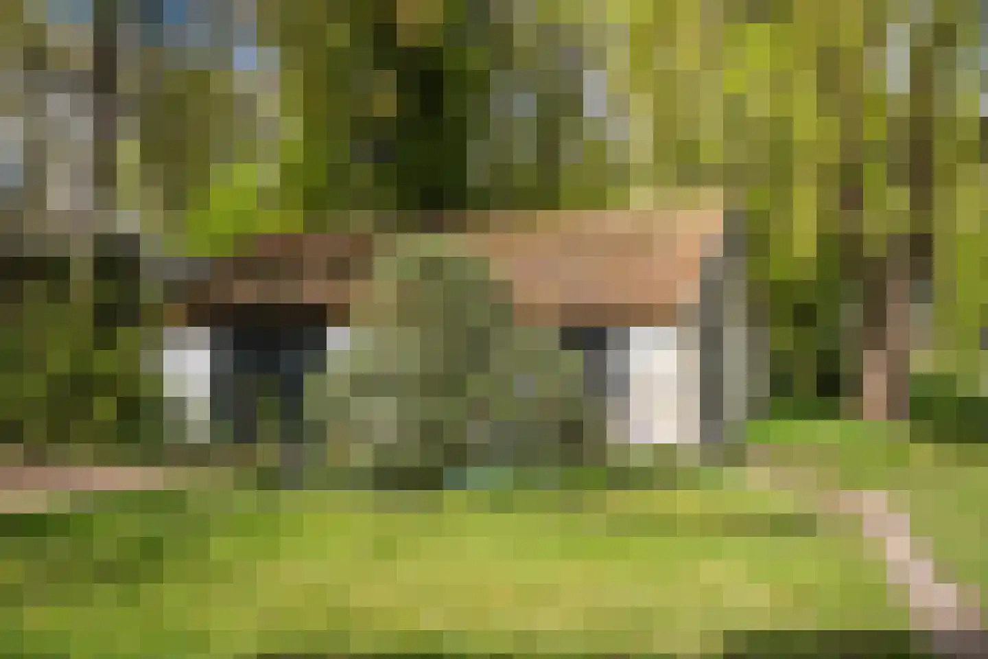 Wethouder Bankenstraat 16 Batenburg thumbnail 48