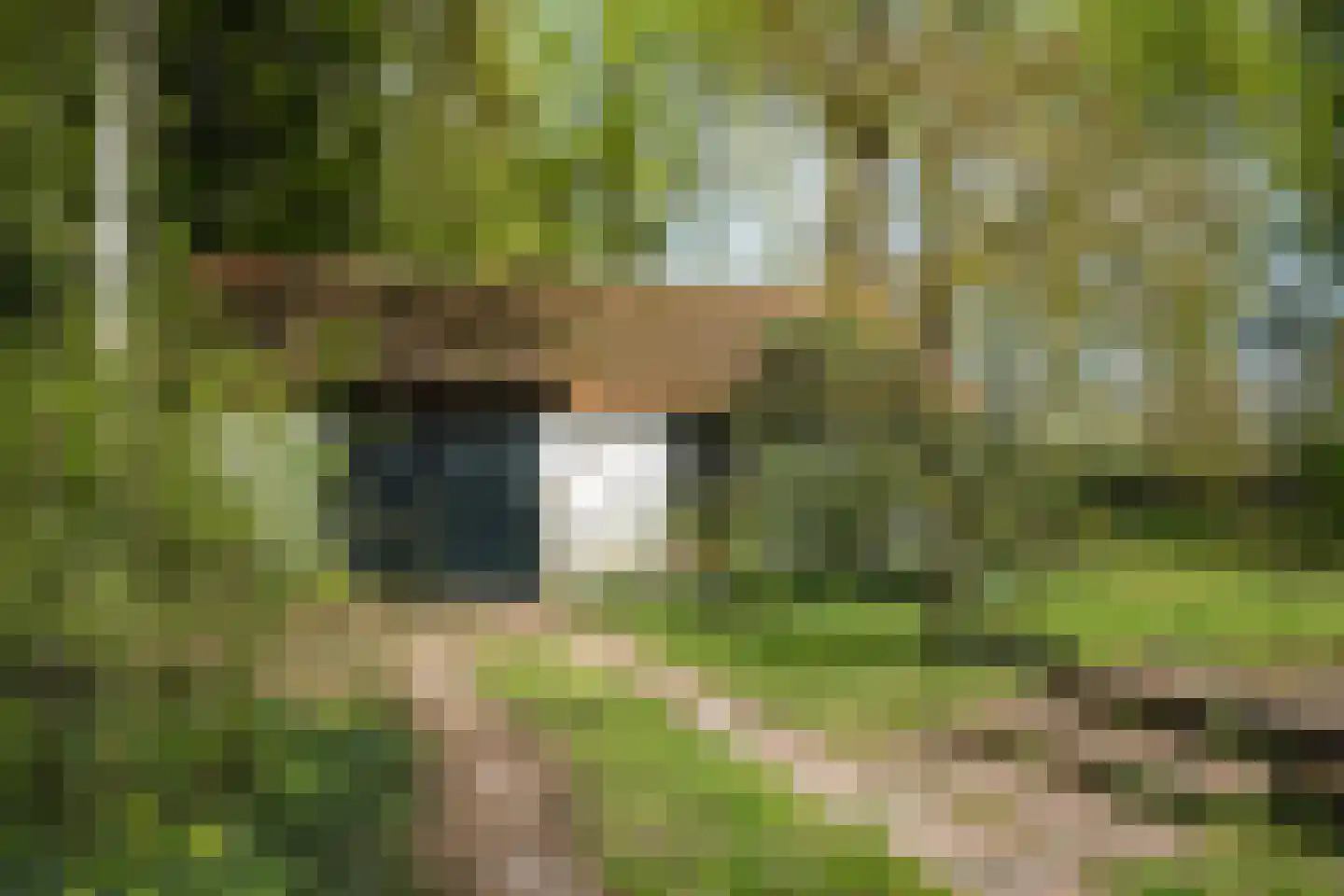Wethouder Bankenstraat 16 Batenburg thumbnail 49
