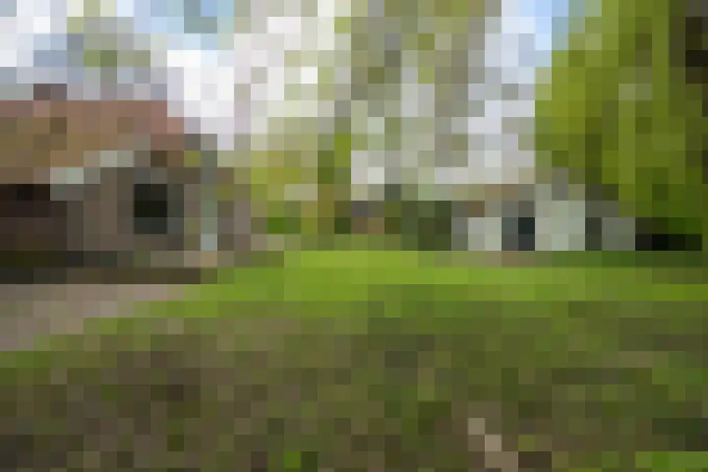 Wethouder Bankenstraat 16 Batenburg thumbnail 51