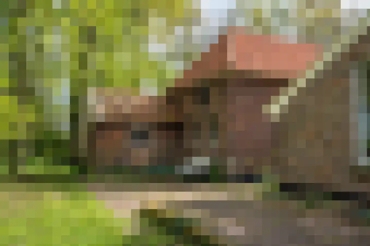 Wethouder Bankenstraat 16 Batenburg thumbnail 54
