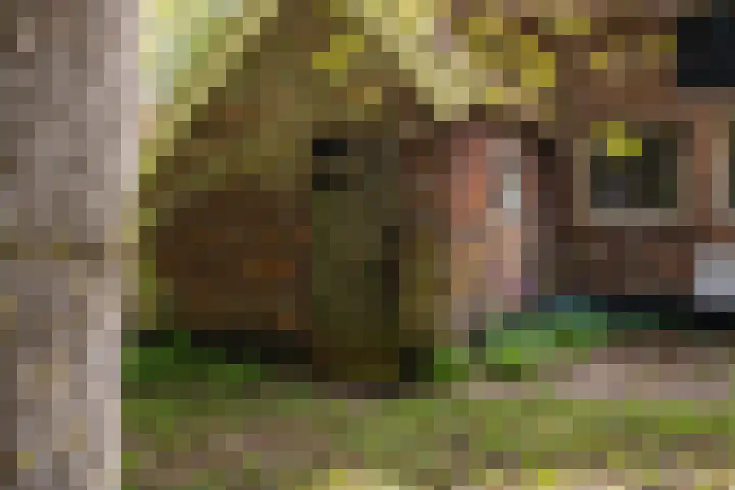 Wethouder Bankenstraat 16 Batenburg thumbnail 55