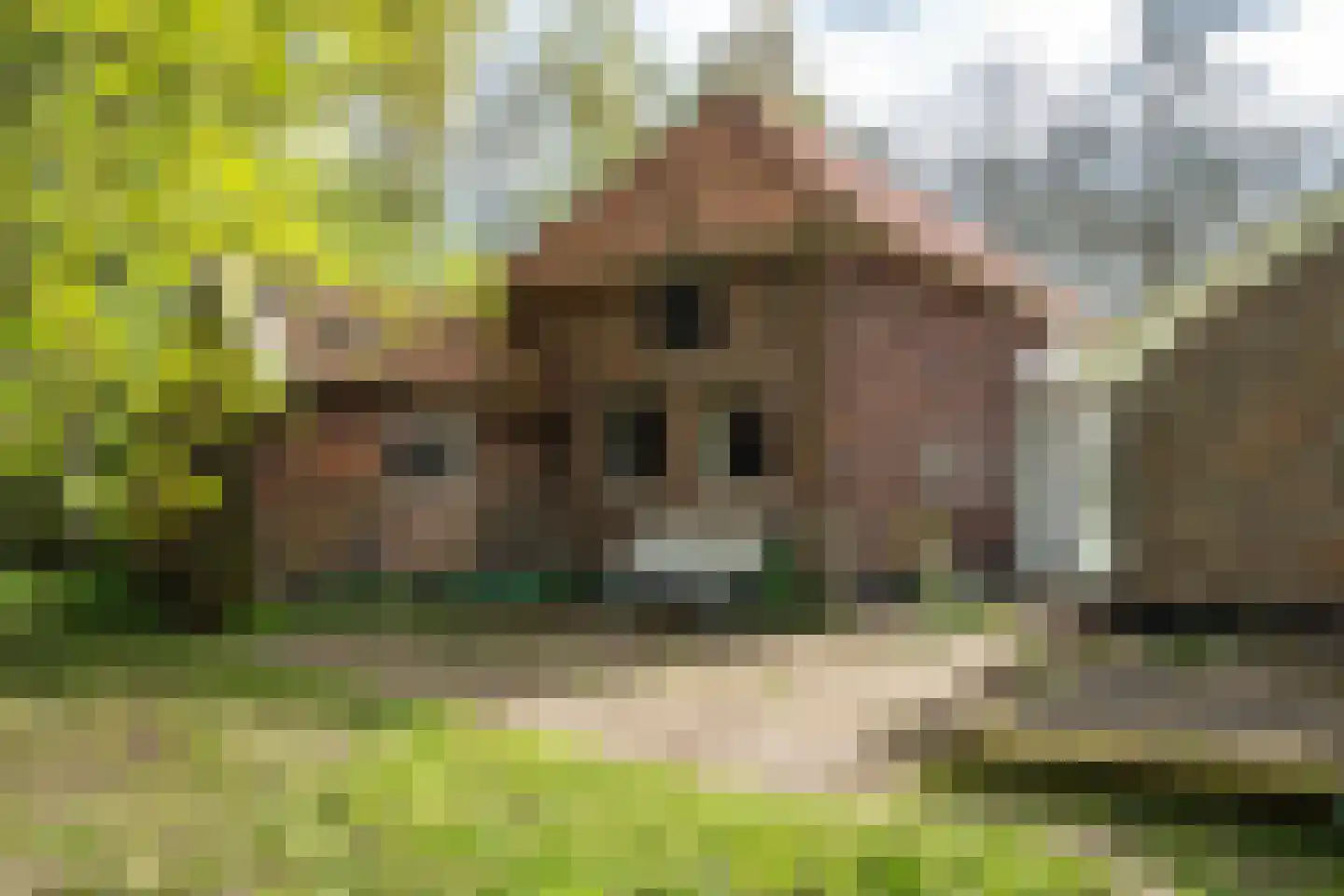 Wethouder Bankenstraat 16 Batenburg thumbnail 56