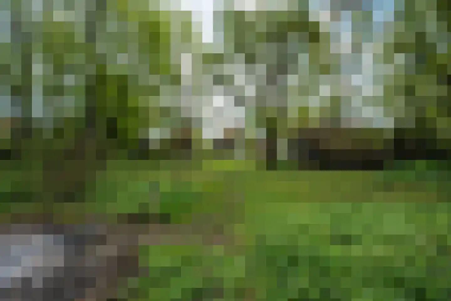 Wethouder Bankenstraat 16 Batenburg thumbnail 57