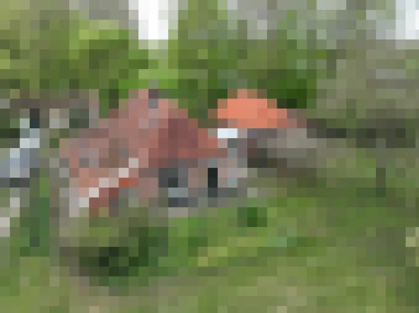 Wethouder Bankenstraat 16 Batenburg thumbnail 6