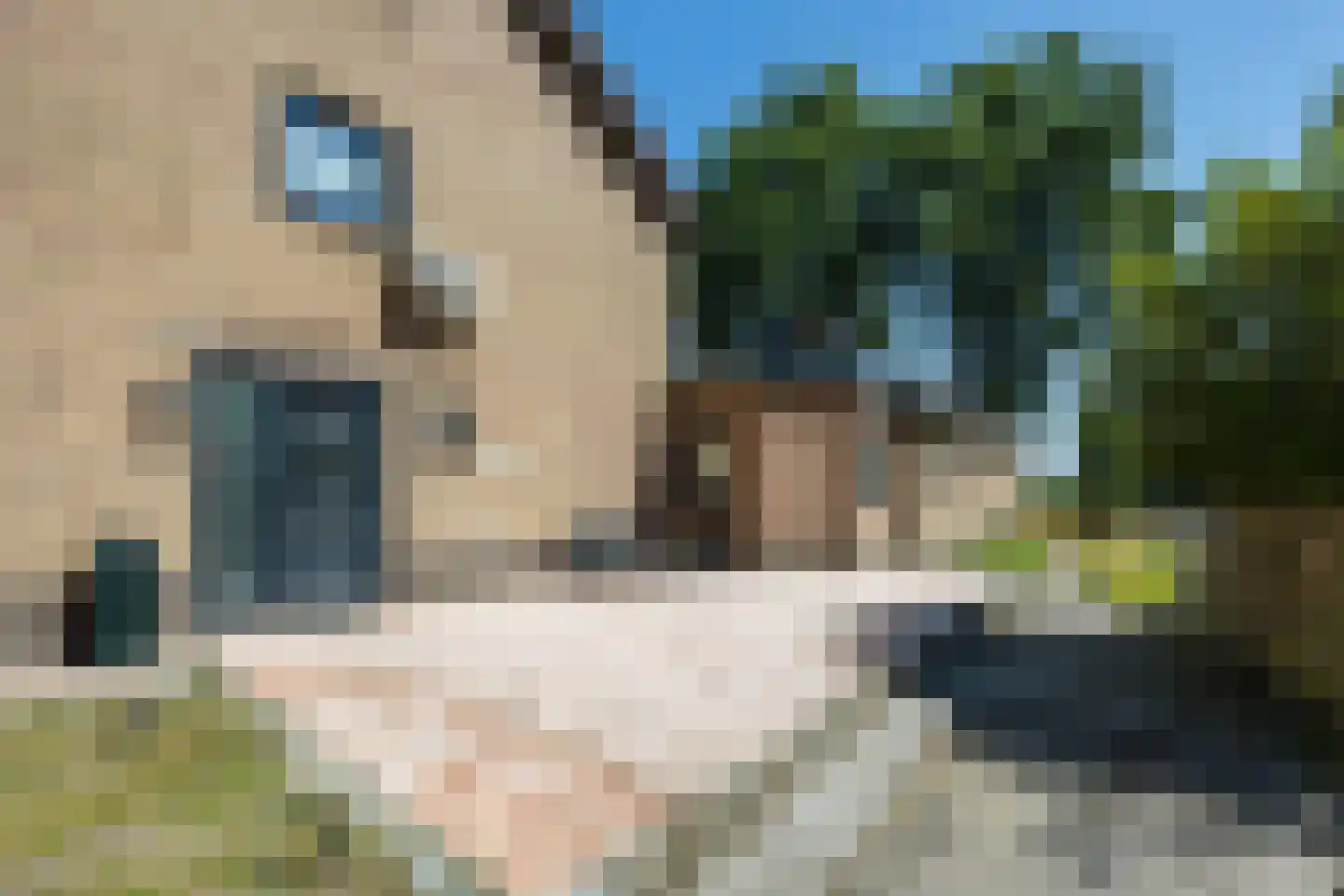 Wethouder Bogersstraat 2 a Lepelstraat thumbnail 5