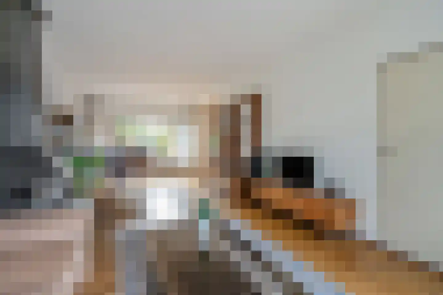 Wethouder Brederodelaan 66 Rijswijk thumbnail 13