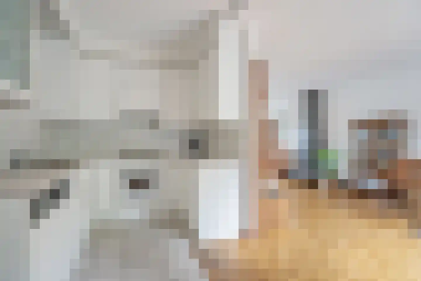 Wethouder Brederodelaan 66 Rijswijk thumbnail 15