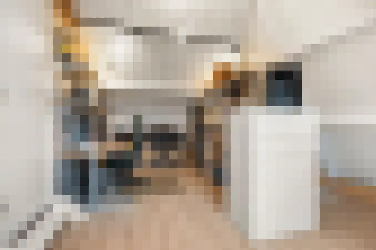 Wethouder Breekstraat 4 Siebengewald thumbnail 20