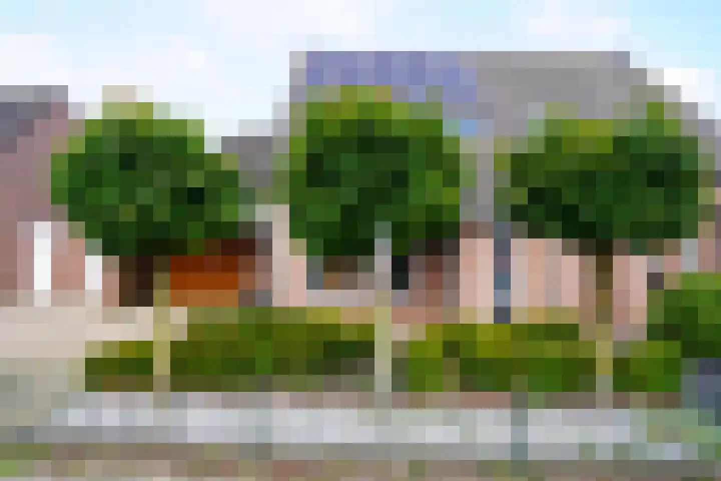 Wethouder Breekstraat 4 Siebengewald thumbnail 6