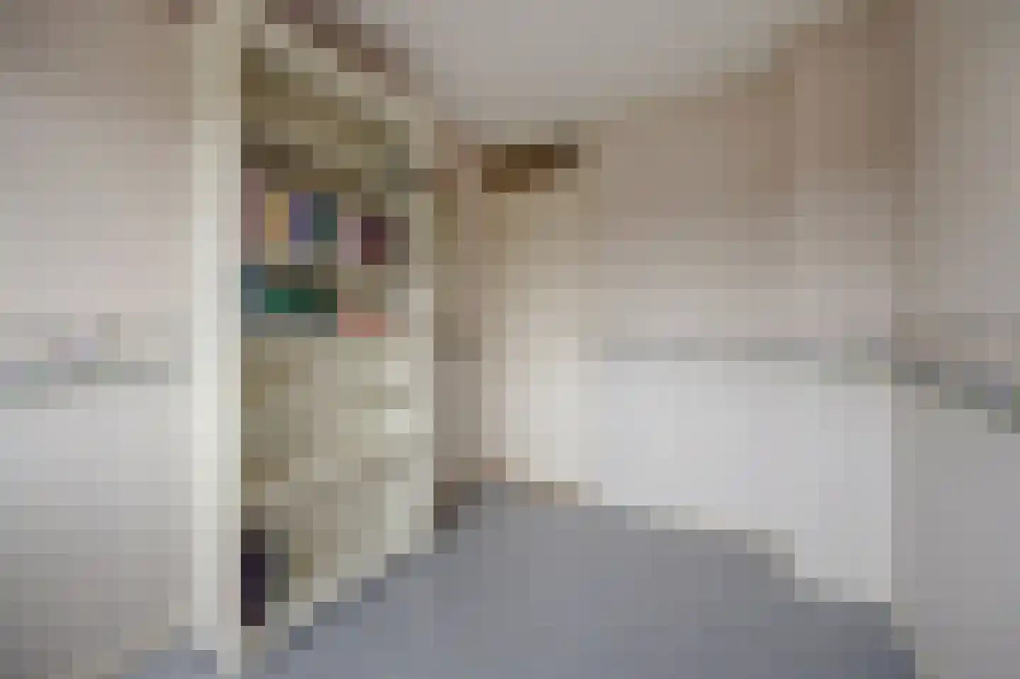Wethouder Broekmanstraat 10 Weurt thumbnail 22