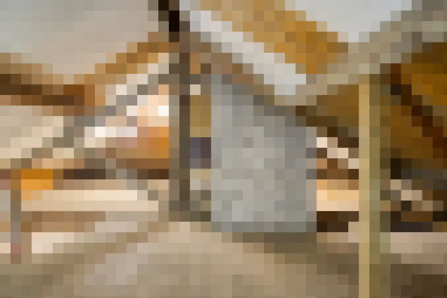 Wethouder Broersstraat 22 Eijsden thumbnail 25
