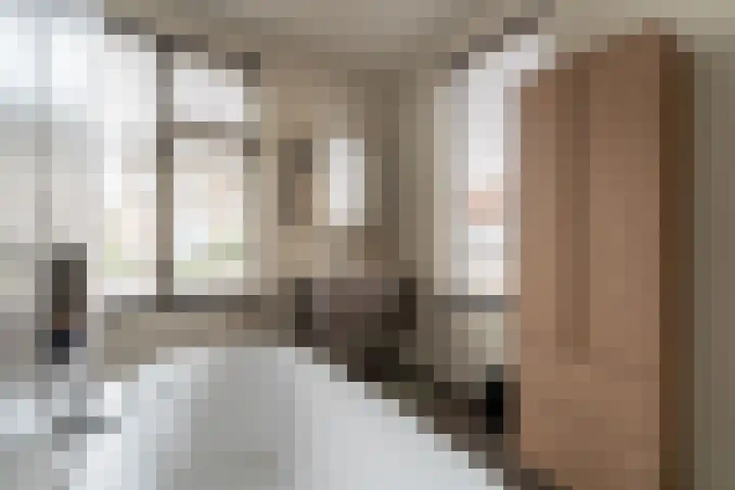 Wethouder Bruensstraat 22 Deest thumbnail 4