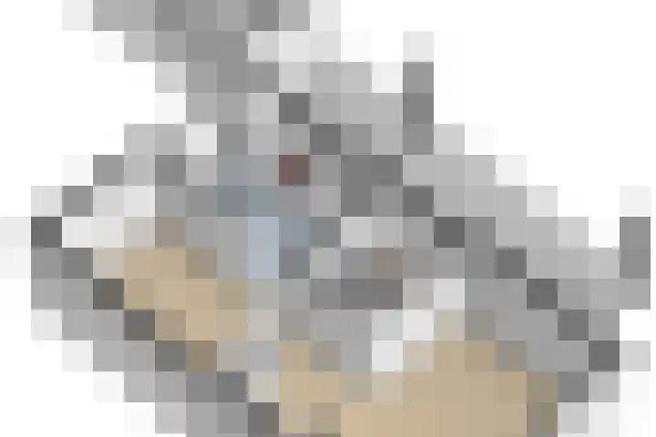 Wethouder Bruensstraat 7 Deest thumbnail 40