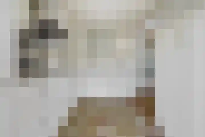 Wethouder Bruensstraat 7 Deest thumbnail 9