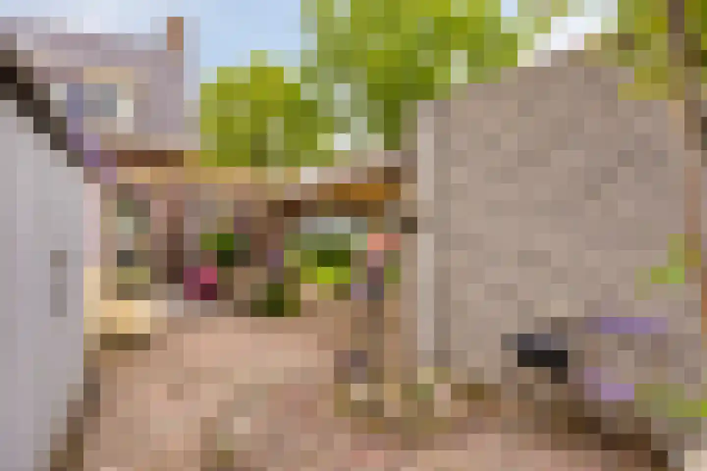 Wethouder Buningstraat 4 Assen thumbnail 37
