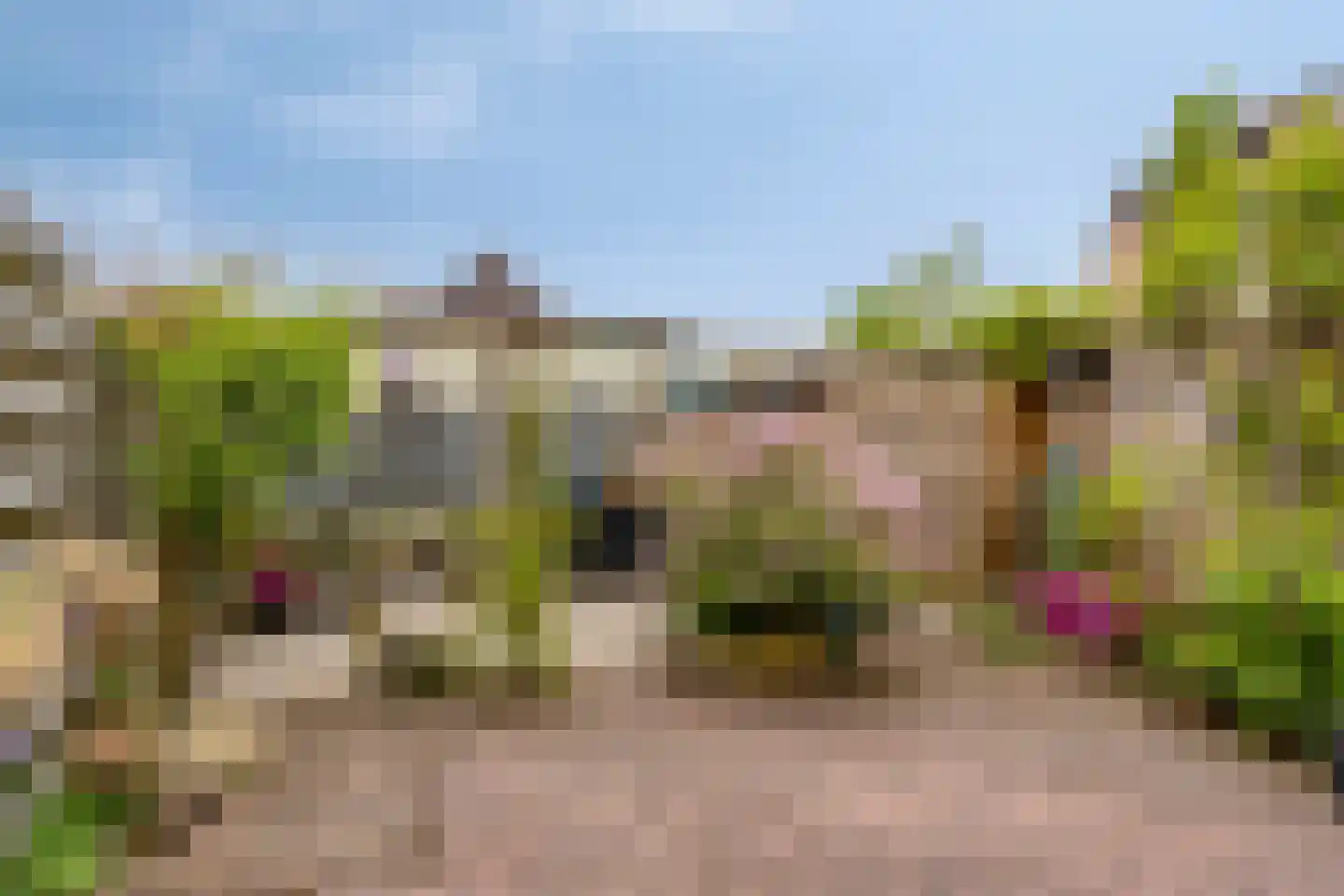 Wethouder Buningstraat 4 Assen thumbnail 38