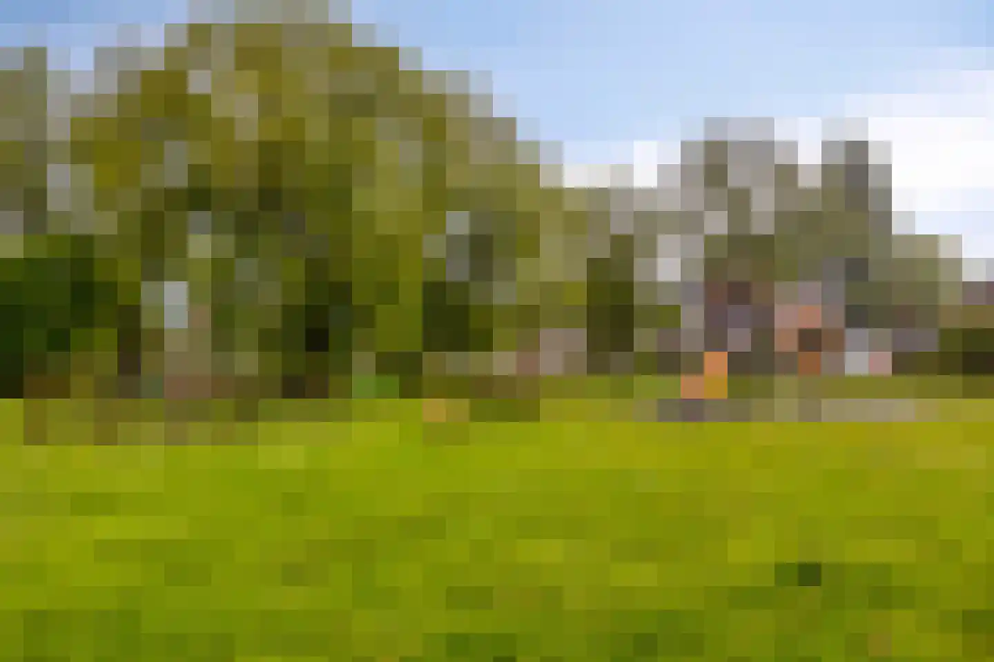 Wethouder Buningstraat 4 Assen thumbnail 41
