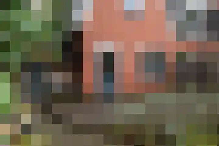 Wethouder Buningstraat 45 Assen thumbnail 31