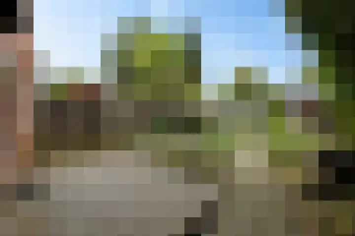 Wethouder Buningstraat 45 Assen thumbnail 32