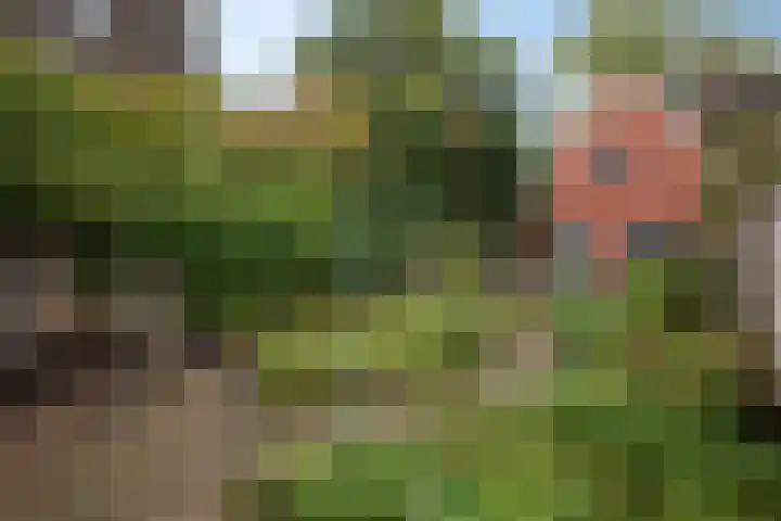 Wethouder Buningstraat 45 Assen thumbnail 33