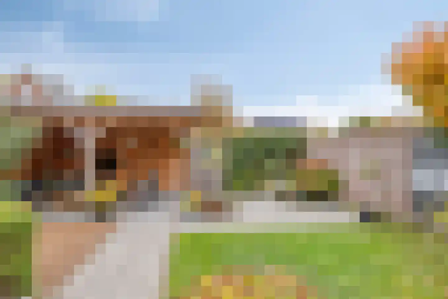 Wethouder Burgers-stee 28 Leuth thumbnail 4