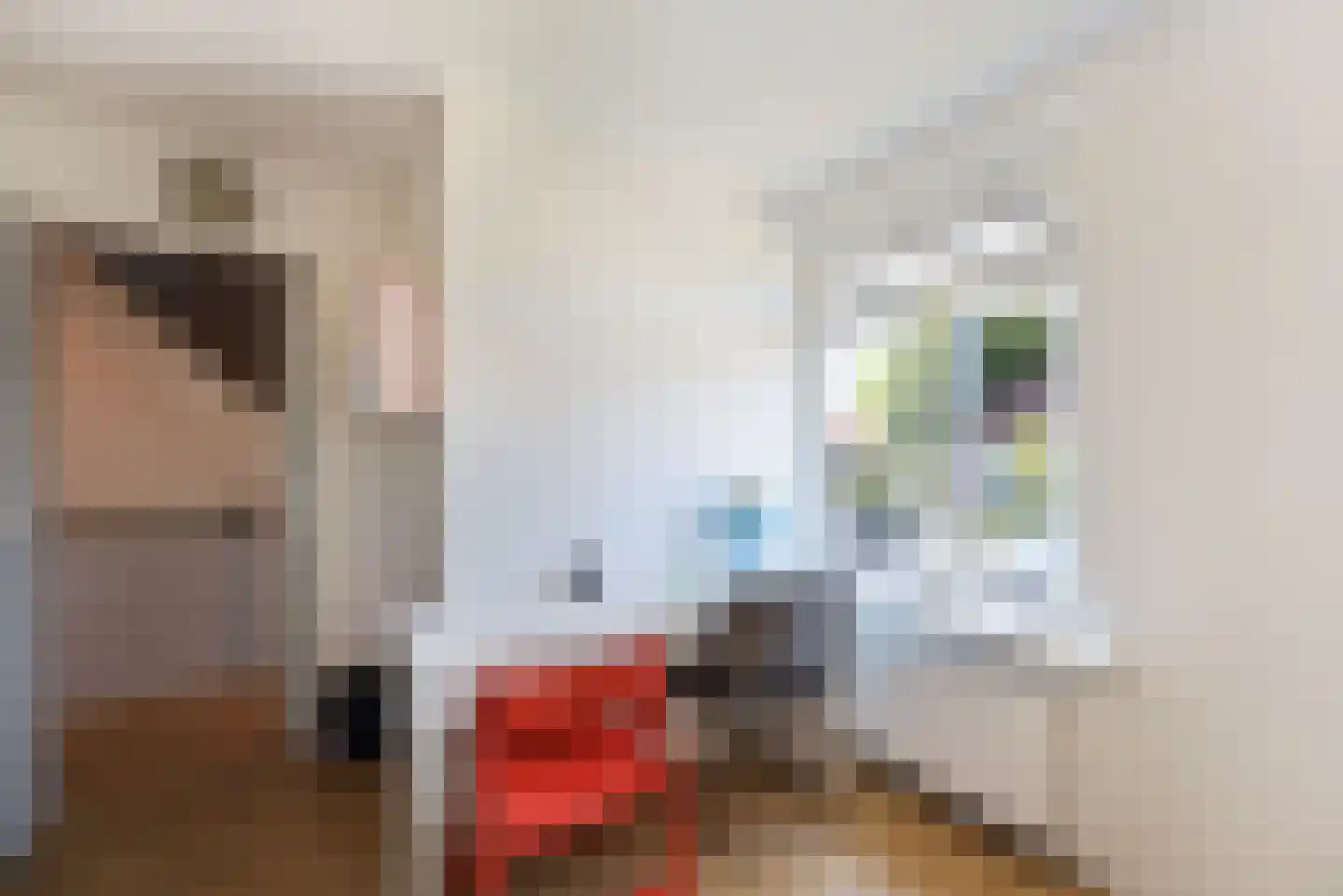 Wethouder C. Kromstraat 18 Uitgeest thumbnail 21