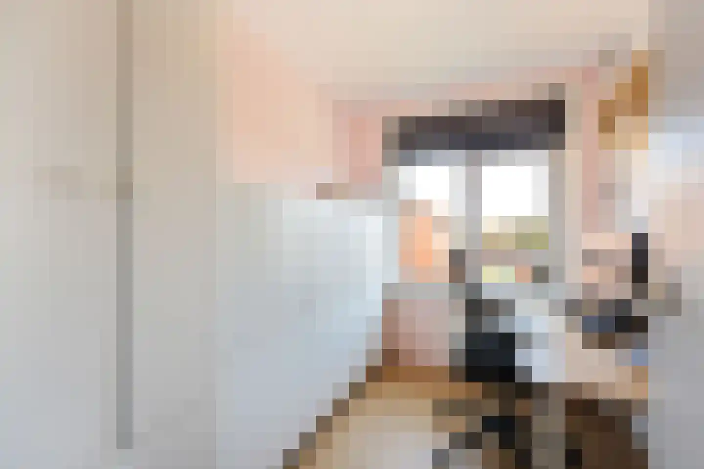 Wethouder C. Kromstraat 18 Uitgeest thumbnail 25