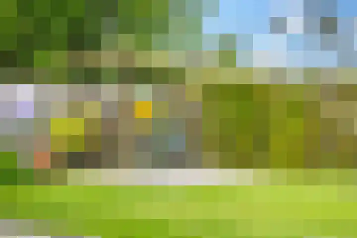 Wethouder Campermanstr 13 Toldijk thumbnail 32