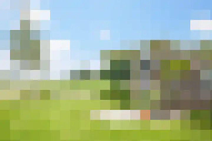 Wethouder Campermanstr 13 Toldijk thumbnail 33