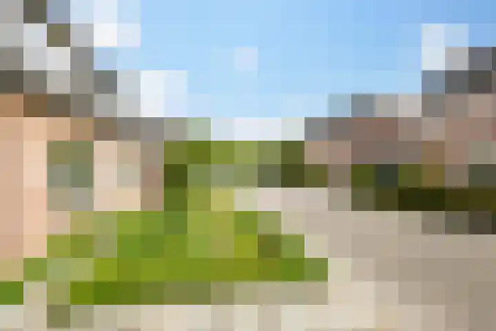Wethouder Campermanstr 13 Toldijk thumbnail 36