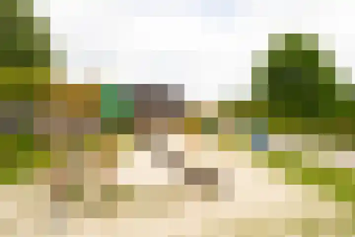 Wethouder Campermanstr 13 Toldijk thumbnail 38