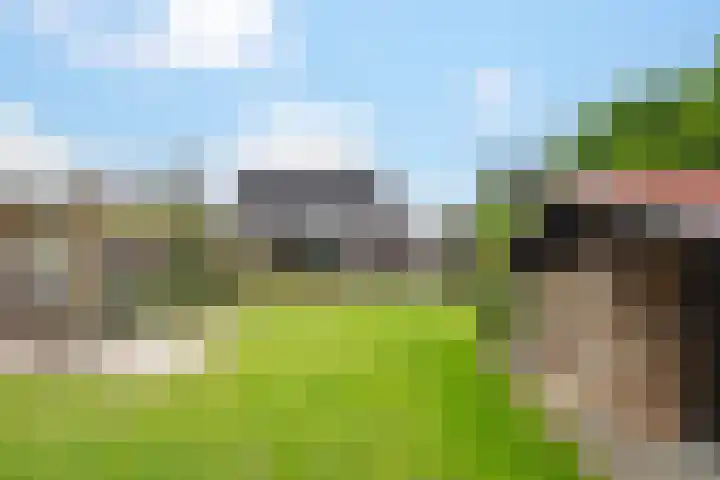Wethouder Campermanstr 13 Toldijk thumbnail 39