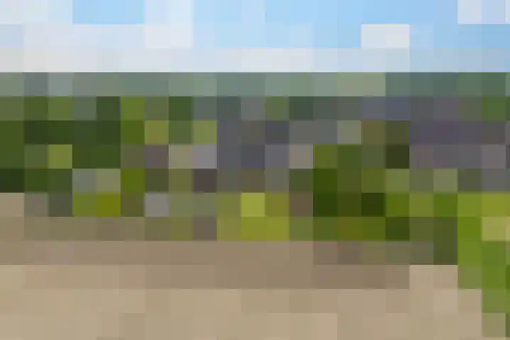 Wethouder Campermanstr 13 Toldijk thumbnail 42