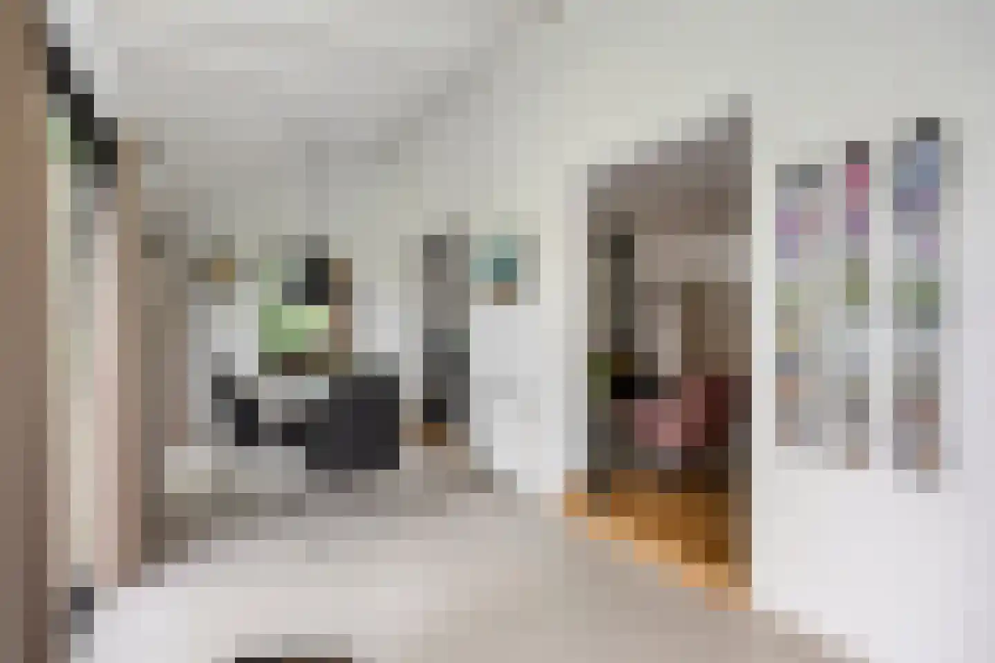Wethouder Crezeelaan 3 Hooge Zwaluwe thumbnail 10