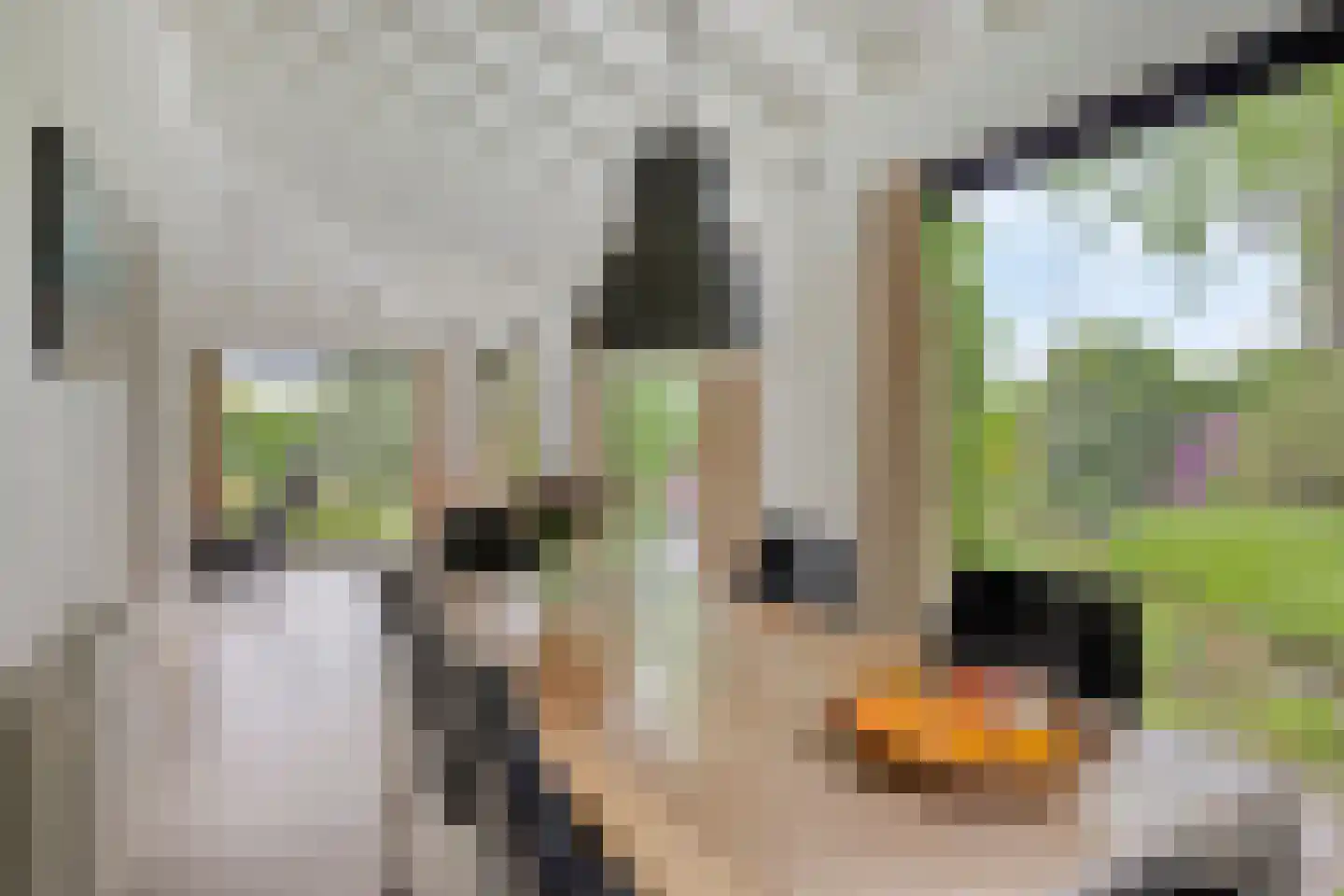 Wethouder Crezeelaan 3 Hooge Zwaluwe thumbnail 11