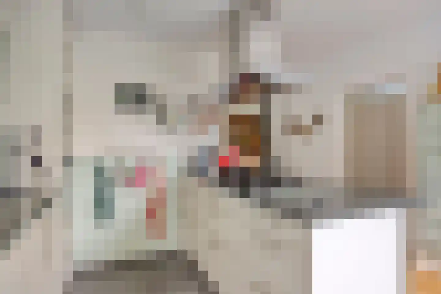 Wethouder Crezeelaan 3 Hooge Zwaluwe thumbnail 17